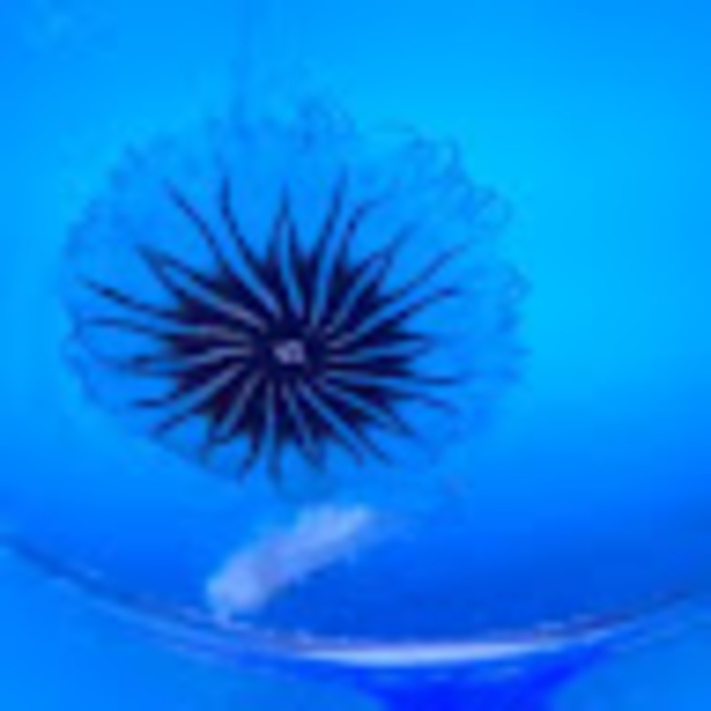 Meet your Posher, Yulii